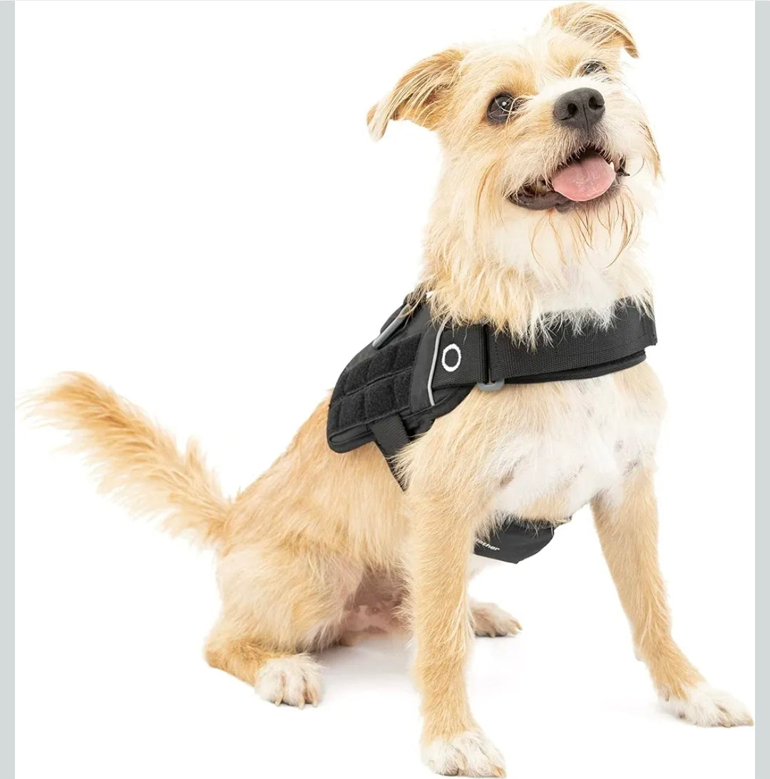 Kurgo RSG Townie Harness, Black, Small
