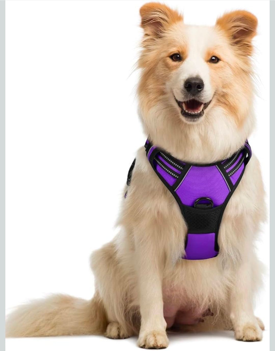Dog Harness, No Pull Medium Sized with 2 Leash Clips, Pet Vest purple